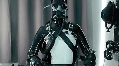 Rubber Pup Bound [pp Training]