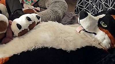 Pawslut Puppy Gets Back To Back Pawjobs With Massive 2nd Cumshot At The End