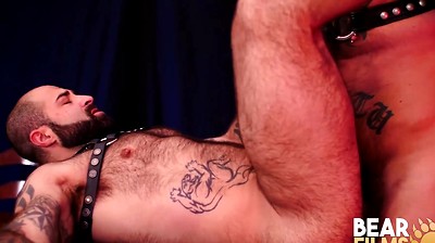 Bear Marc Angelo Barebacks Tattooed Atlas Grant