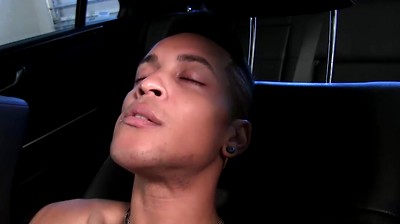 Tiger Le solo