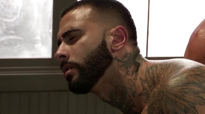 3 Hairy Jocks with Meaty Cocks