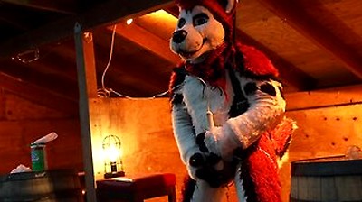 Husky Fursuiter Suspension Jerkoff