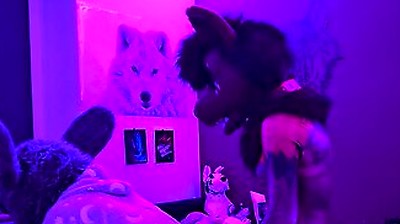 This Submissive Furry Bunny Slut Is Getting Pegged By A Furry Wolf So He Knows His Place