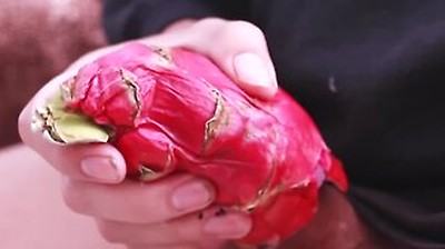 I Was So Horny I Fucked A Dragon Fruit