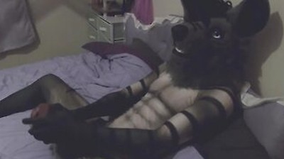 Hyena Muzzle Play