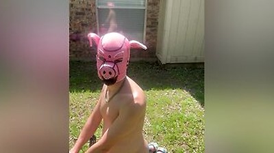 Pig Blown Up By Helium - Belly Inflation