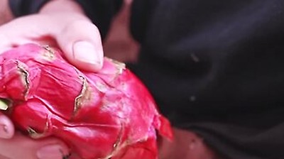 I Was So Horny I Used A Dragon Fruit To Jerk Off And Then Took A Long Piss