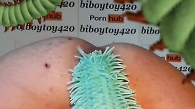 Anal Centipede Crawling In And Out,hentai Parody.(halloween Fun)