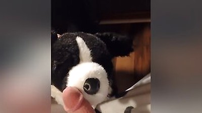 Border Collie Plushie Licks And Makes Onesie Pubby Cum!